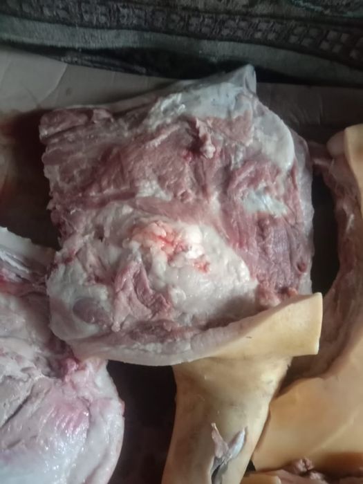 Продам  домашние свиное мясо