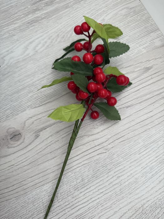Ягоды для декора