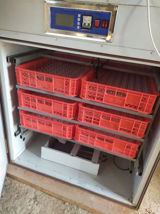 Inkubator foydalanishga tayyor