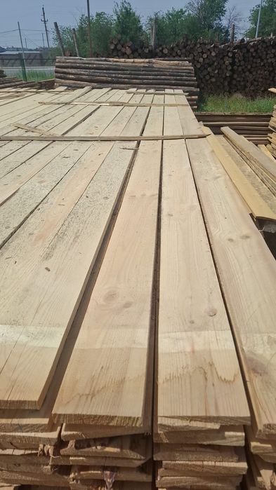 Арзан ағаш тікелей Ресейден