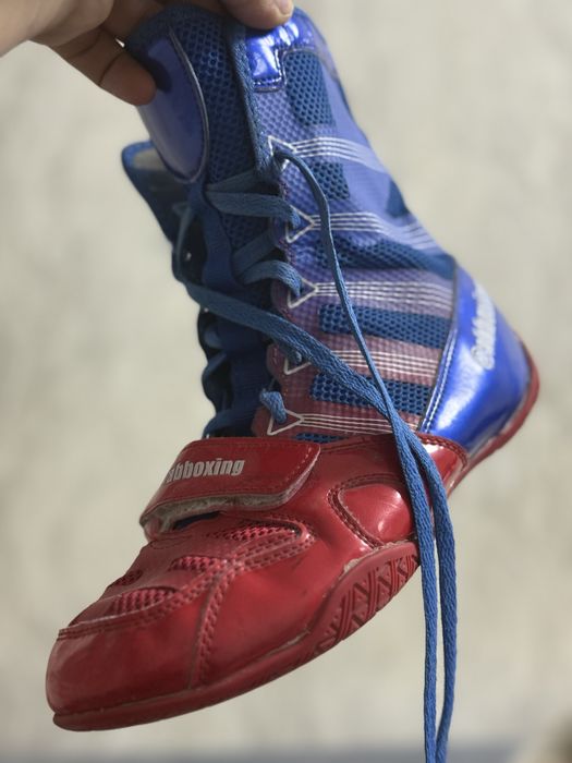 Боксерки5тысь……..