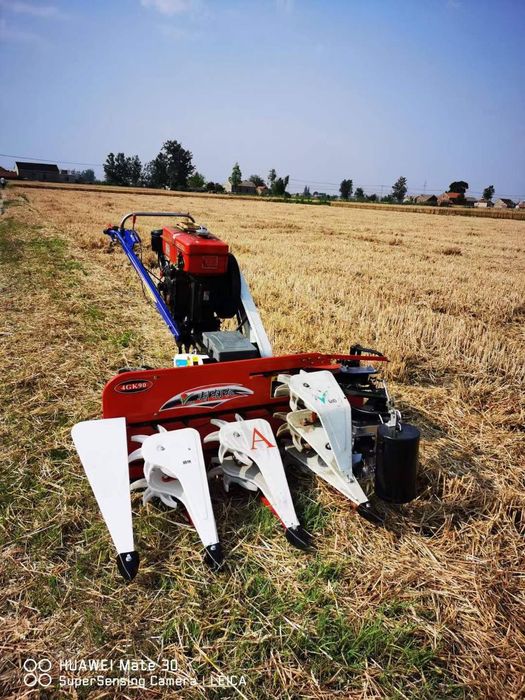 Oʻrib bogʻlovchi Spes jatka