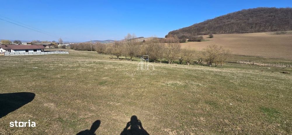 Teren 4 362 Mp Intravilan de Vanzare, Str Caprioarei, Sangeorgiu de Ms