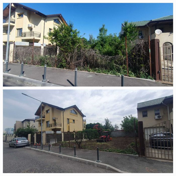 Igienizare, defrisare, curatare terenuri, vegetatie, ambrozie