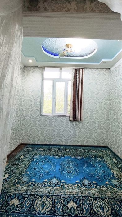 Сотув 2/4/4 Коракамиш 2/1