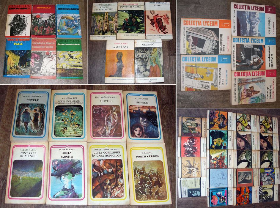 Lot 43 carti colectia Lyceum, Globus, Meridiane, Arcade