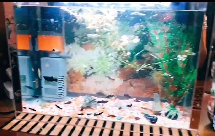 Продам аквариум 30 литр + филтр и подсведка