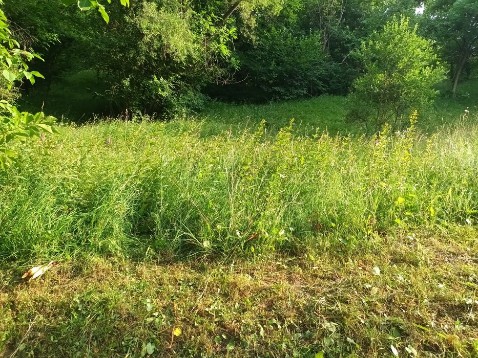 Vand teren intravilan Valea Tirsei Breaza