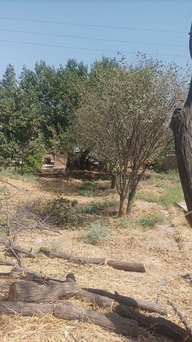 Ховли , участка ер парник сотилади