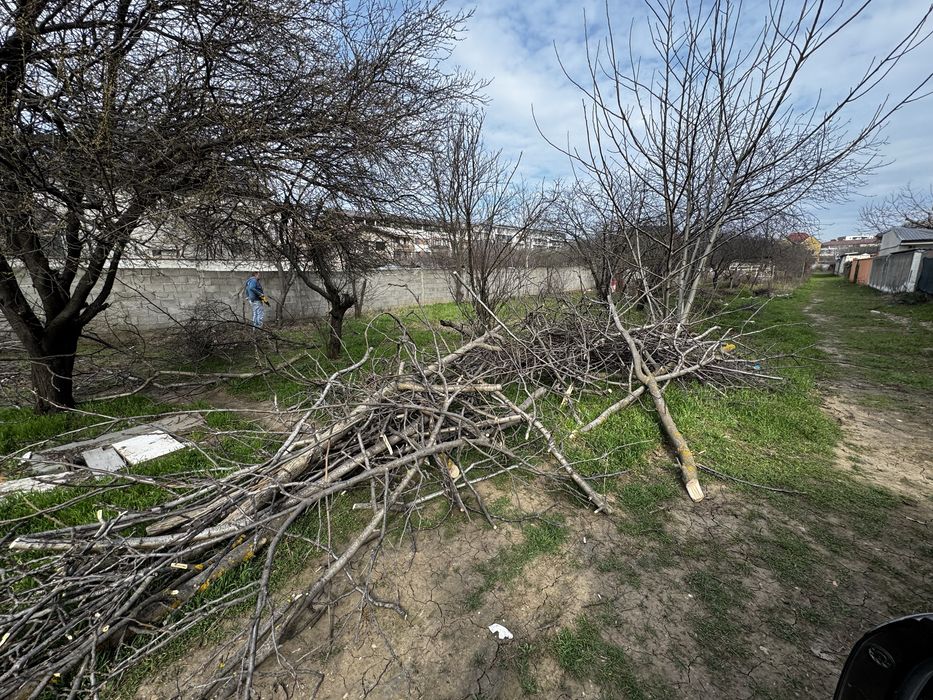 lemne si vreascuri gratis