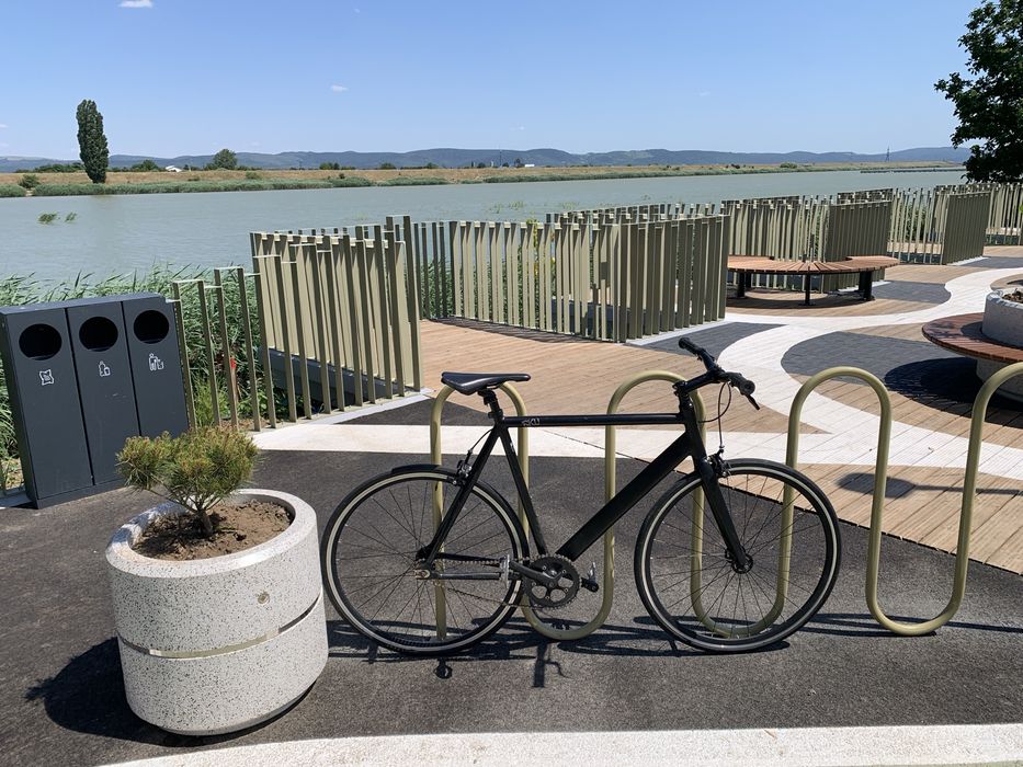 Bicicleta fixie / singlespeed