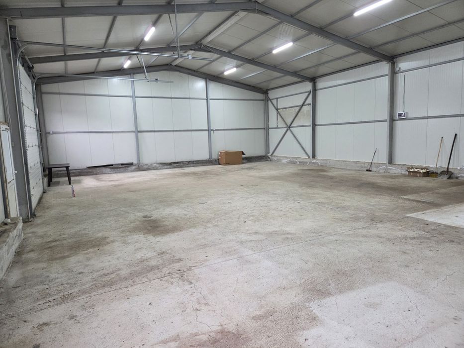 Hala , Depozit, Service Auto     de inchiriat