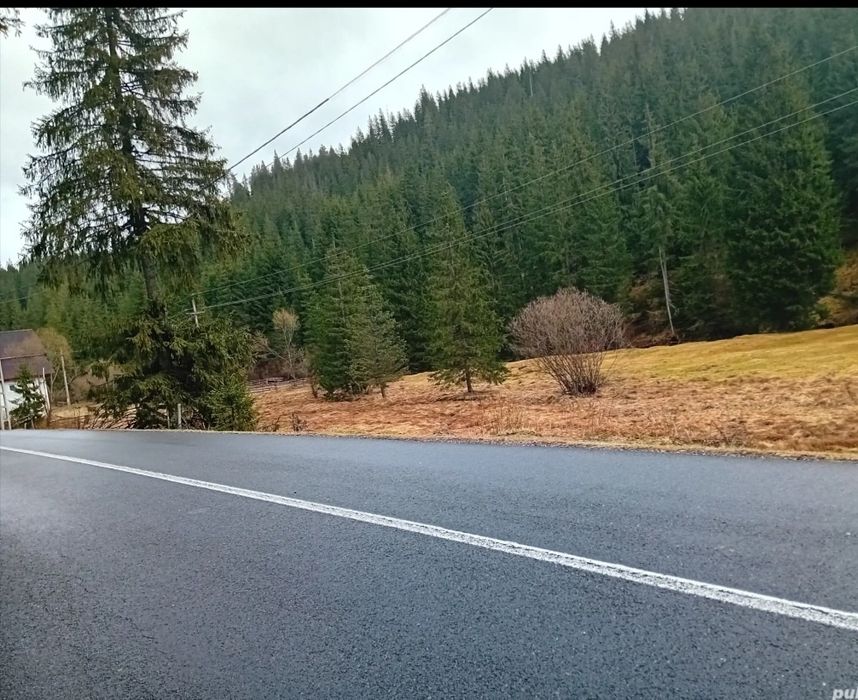 Teren de vinzare,si Casă cu anexe