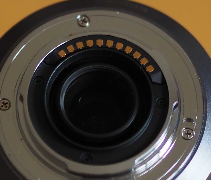 Panasonic Lumix G Vario 100-300mm F4.0-5.6 Mega O.I.S. (I/V1) MFT