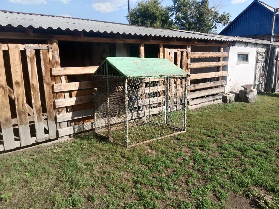 Продам вольер,будку для собаки
