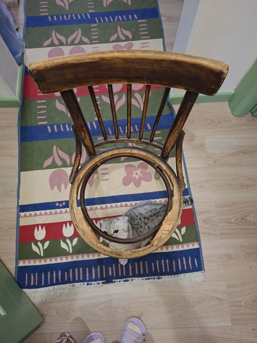 Венский стул под реставрацию