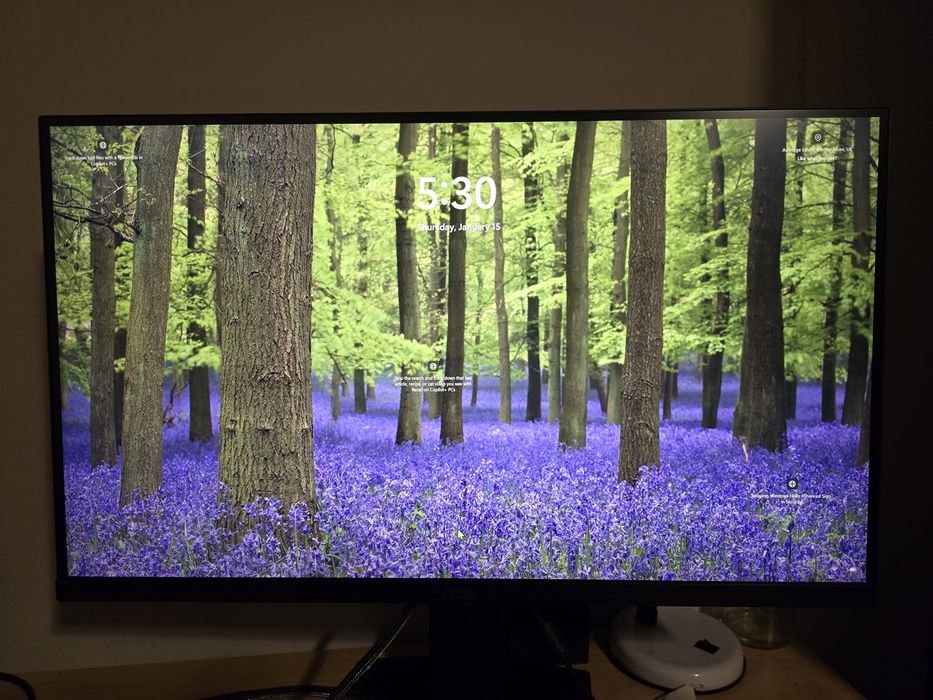 Vând monitor LG și MSI