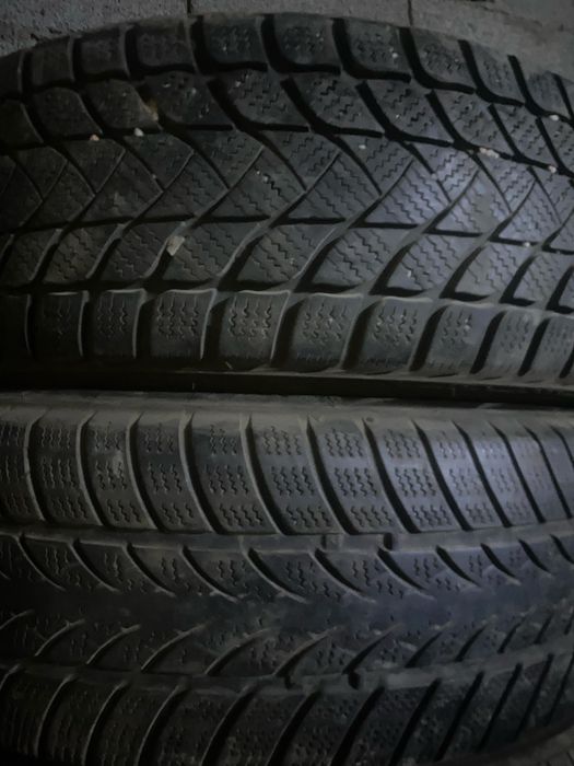 Шиналар бар хабарласып сураныздар