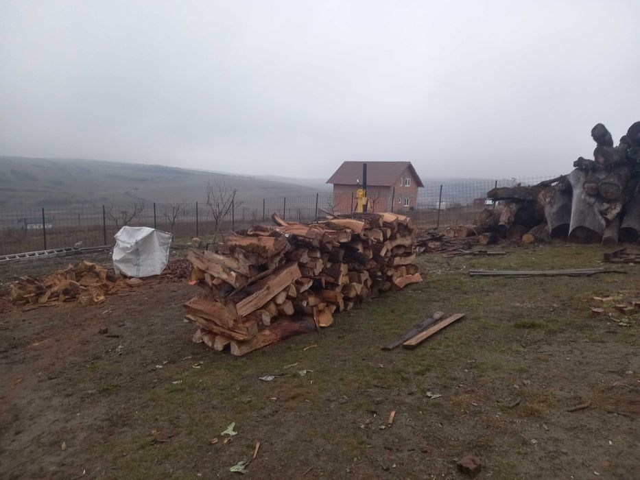 Lemne de foc fag carpen stejar