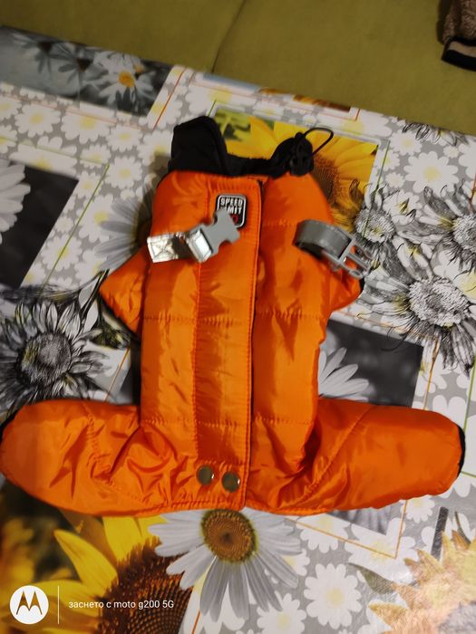 Кучешки дрехи за зимата