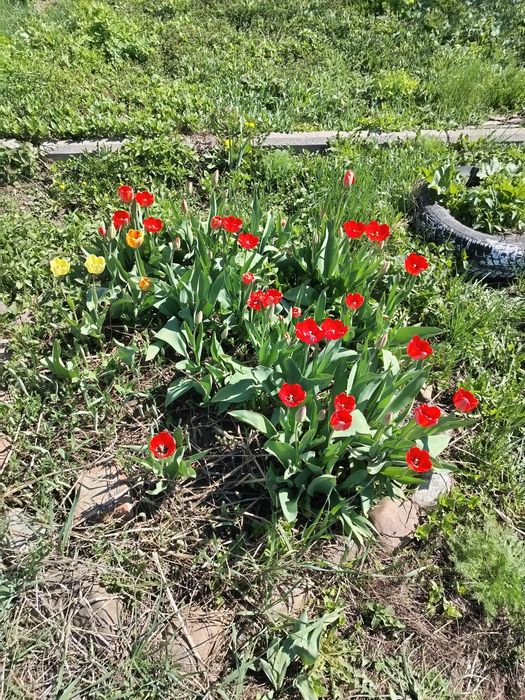 Продам дом с Саратовка