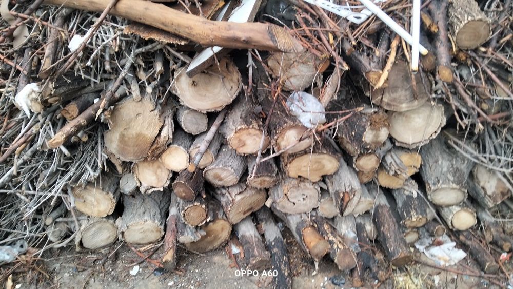 Дрова кара агач самовывоз