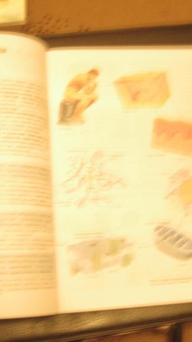 учебници за 10 и 11 клас