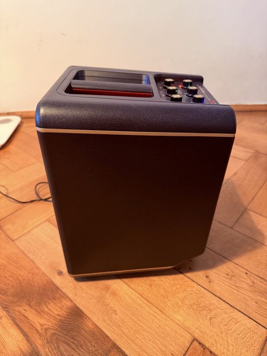 Positive Grid Spark Edge 65W busking amp