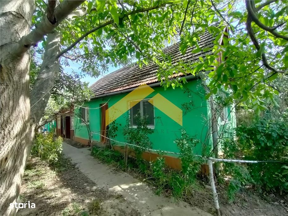 Casa de vanzare in Bodrogu Vechi