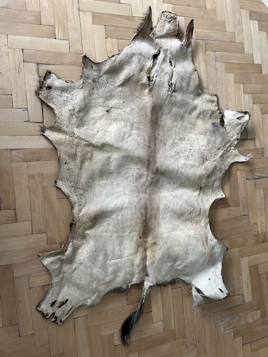 Кожа от Глиган Диво прасе