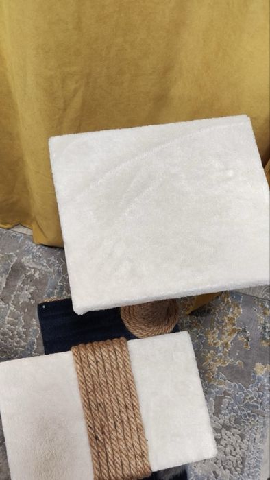 Котешка катерушка