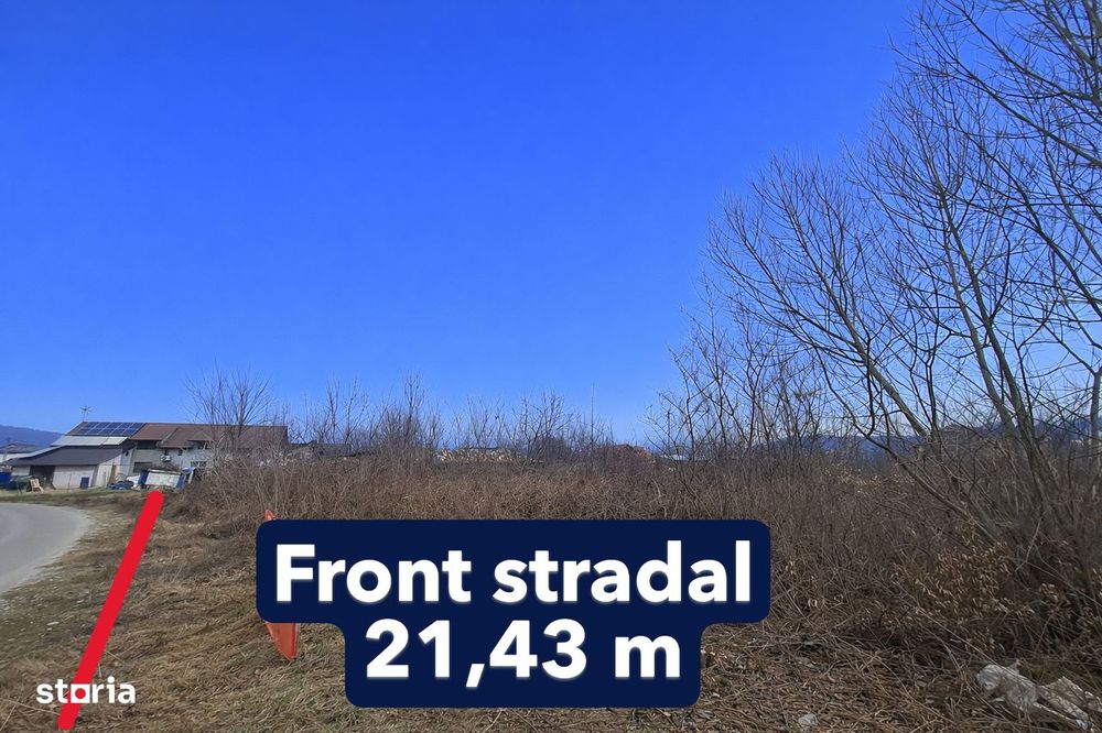 Teren intravilan 4.797 mp Bujoreni (Lăzărești) – zonă Lic, P+2E