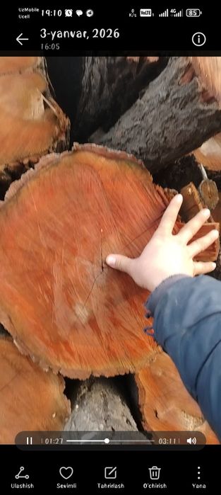 O'rik o'tinlar sotiladi