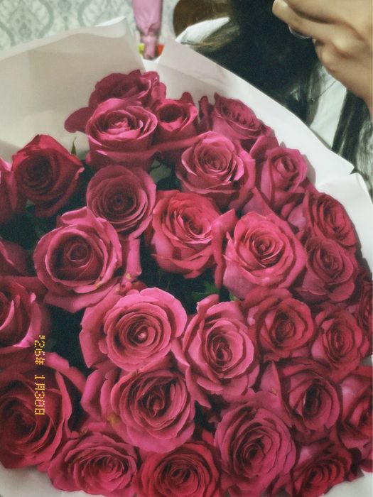 Роза 31штук Шымкент адемы гул