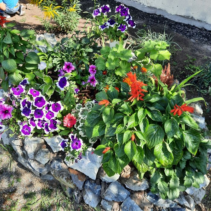 Продам квартиру .