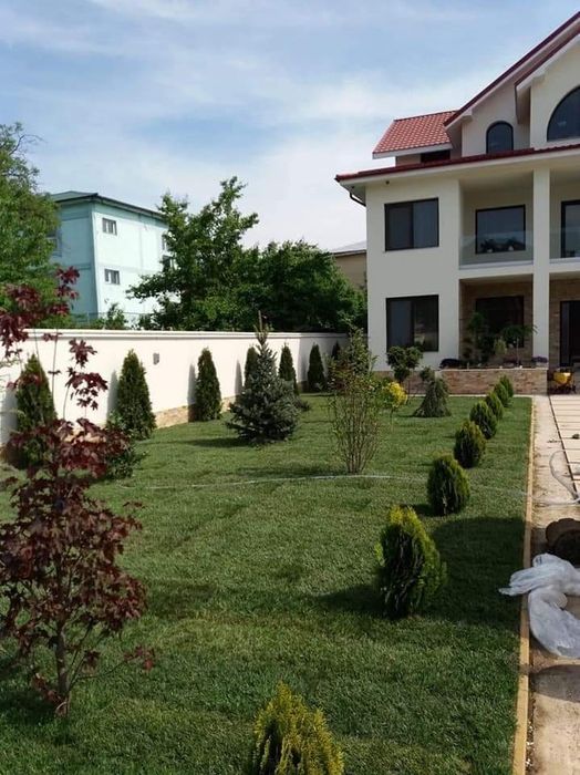 Plante ornamentale și rulou de gazon, livrare rapida oriunde în Țară