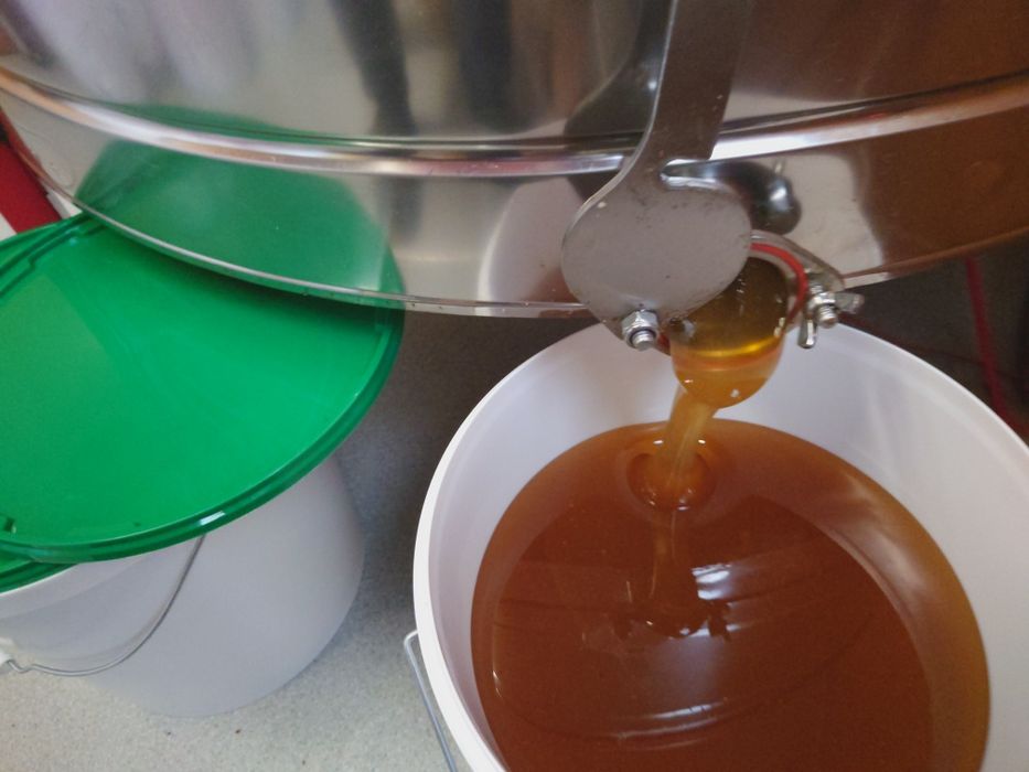 Мёд натуральный с пасеки.