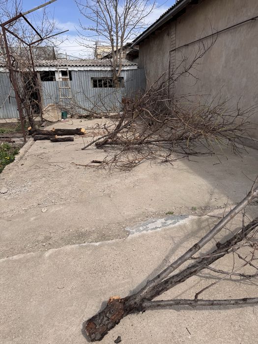 Дрова, отын самовывоз