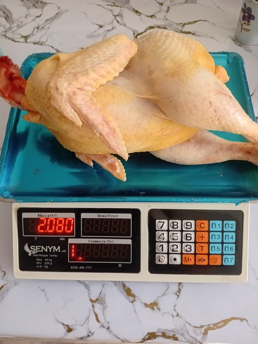 Продам мясо бройлера домашнее