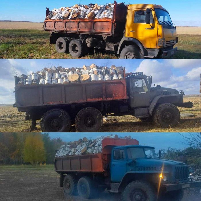 Продам дрова берёзовые 10 кубов