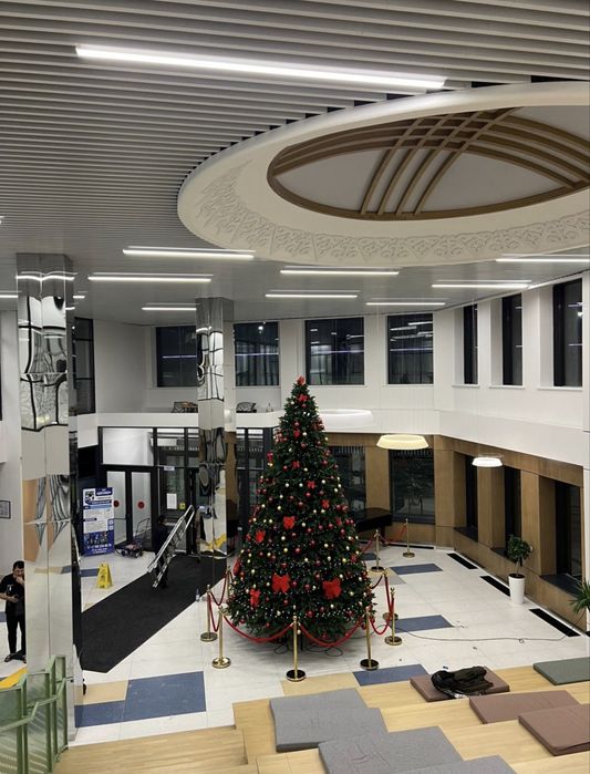 продам елку высота 6м