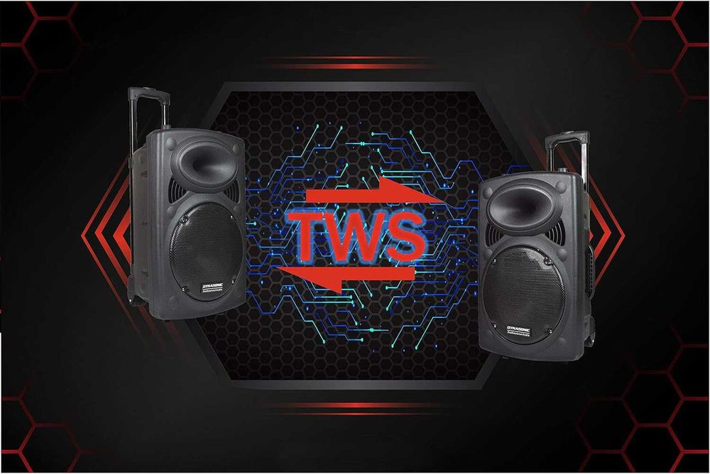 DYNASONIC Dynapro 12 Преносима активна тонколона