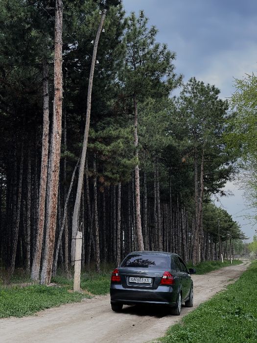 Продам свою машину в идеальном состоянии