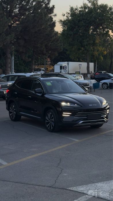 BYD song plus Champion 150