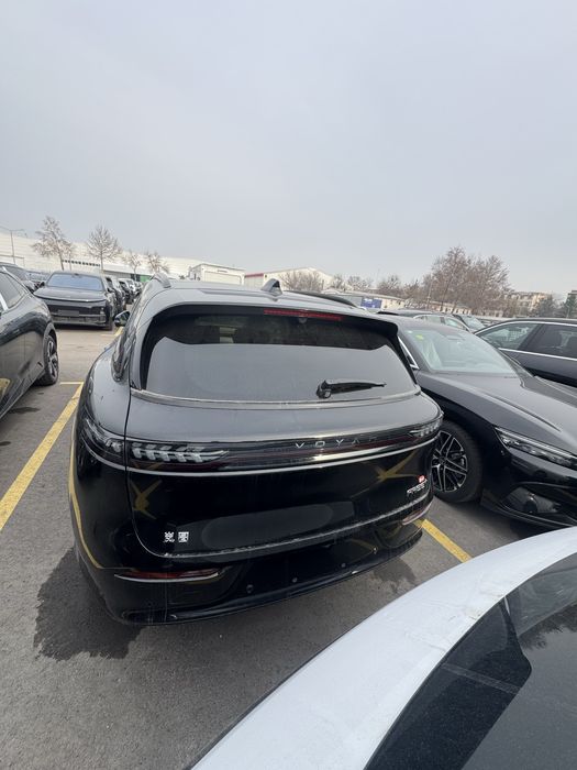 Voyah free + qoraga bejivi