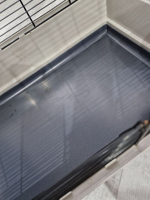 Cusca pentru pasari!