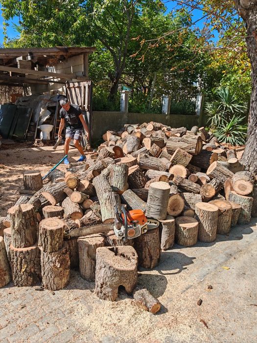 Рязане на дърва 12лв кубик