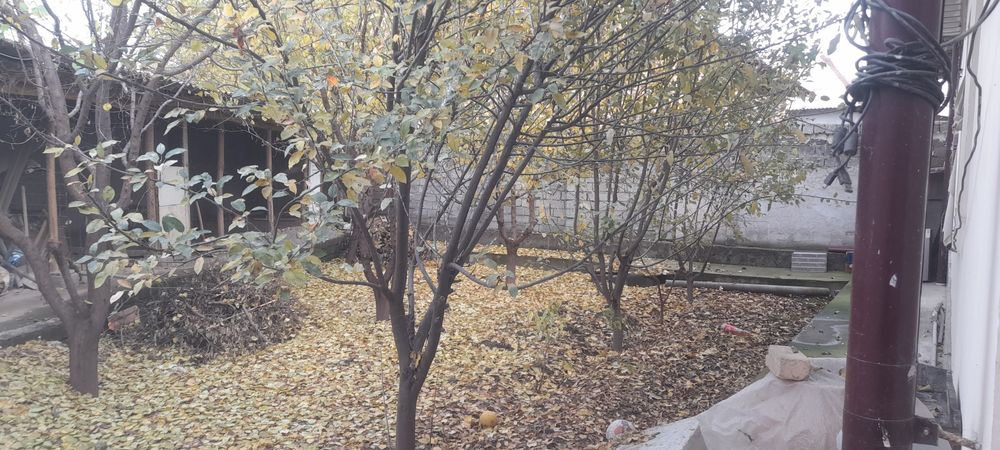 Uy sotiladi shahardan 10 daqiqalik