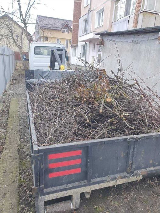 Deseuri reciclabile/nereciclabile,container,benă,habă,gunoi