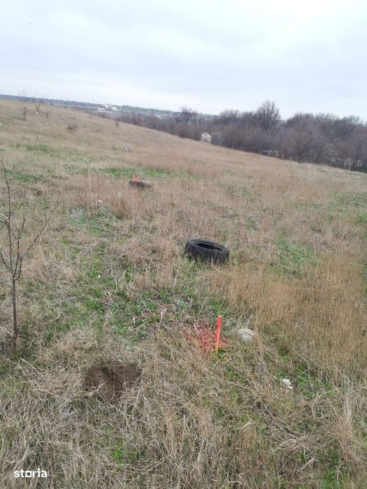 TEREN INTRAVILAN 306 mp – Palazu Mare, Constanta - Ocazie Unica